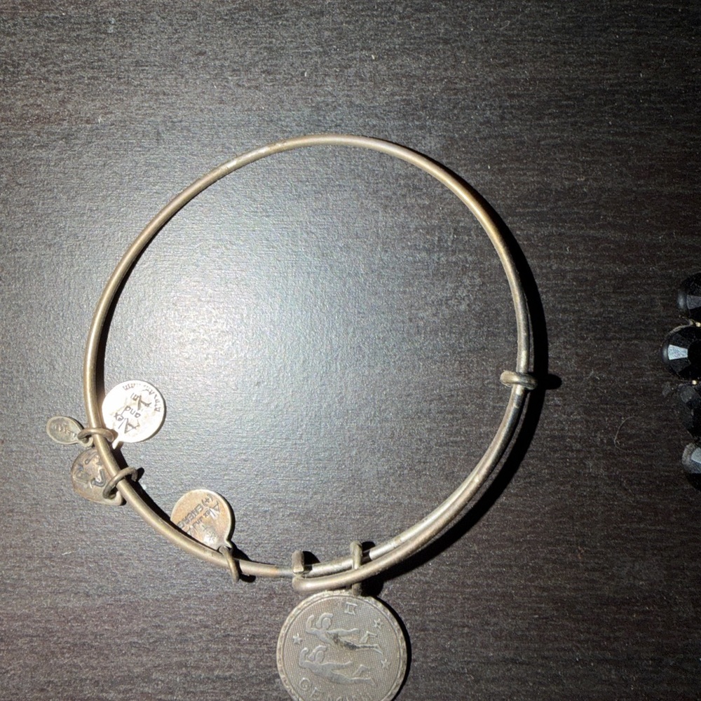 Alex and ani silver Charm Bangle Bracelet